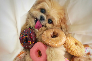 Illustration for article titled Southern California is Dealing with Dunkin Donuts